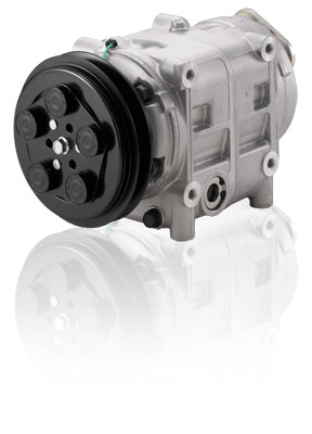 tm31b
