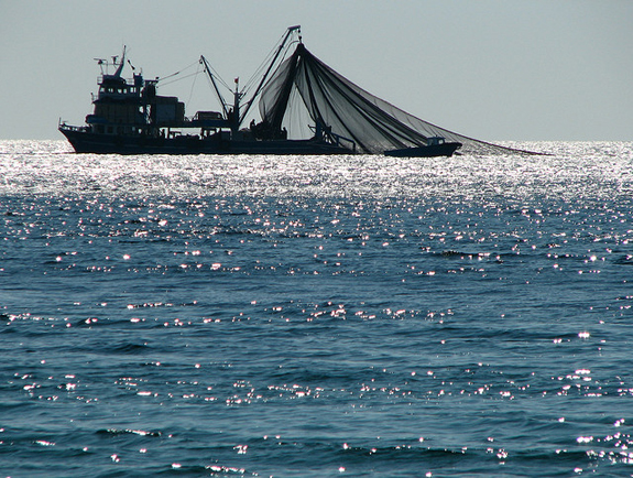 trawler-net